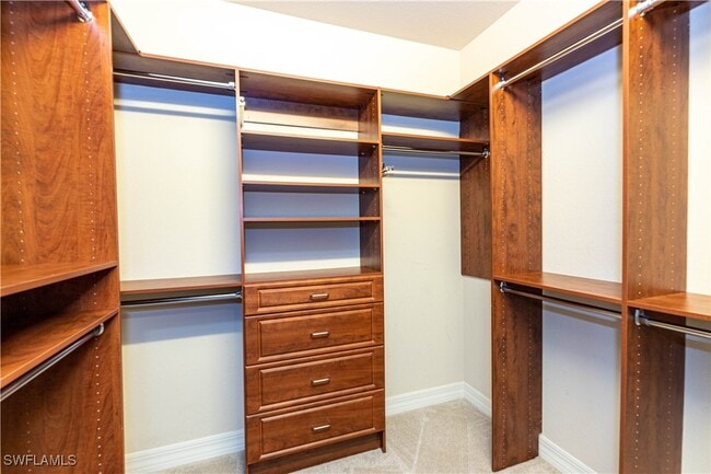 property at 10094 Mimosa Silk Dr