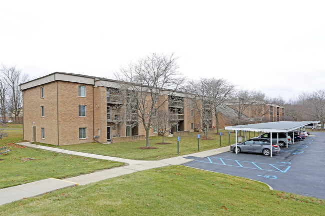 Silver Maple Village Apartments in Lapeer, MI - Building Photo - Building Photo