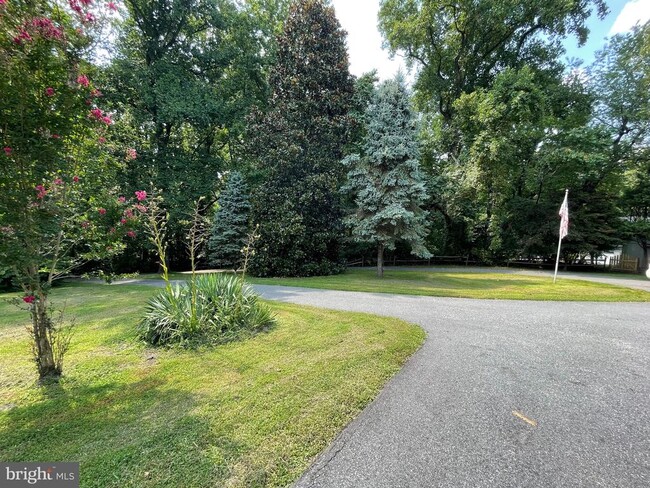 property at 26 Cannon Bluff Dr