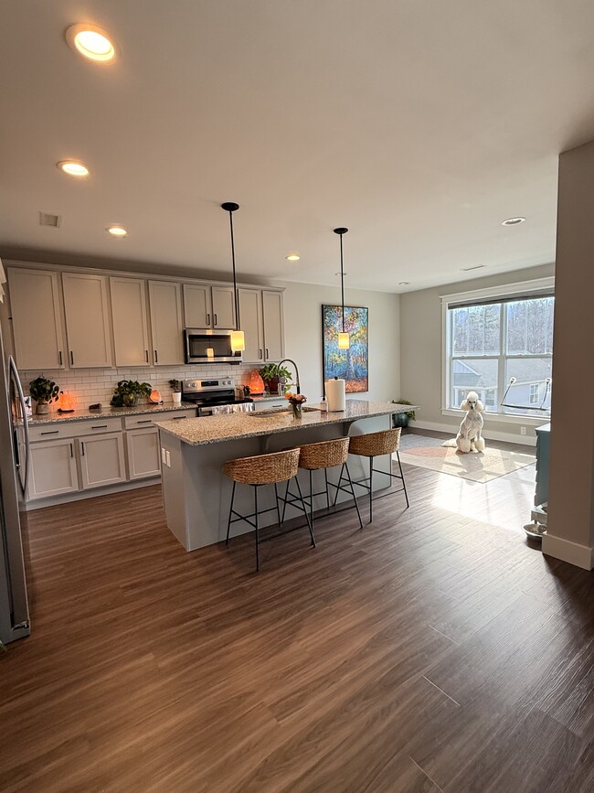 1112 Blueview Dr in Black Mountain, NC - Building Photo - Building Photo