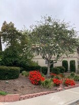 621 Avenida Sevilla, Unit 621A Avenida. Sevillalla in Laguna Woods, CA - Building Photo
