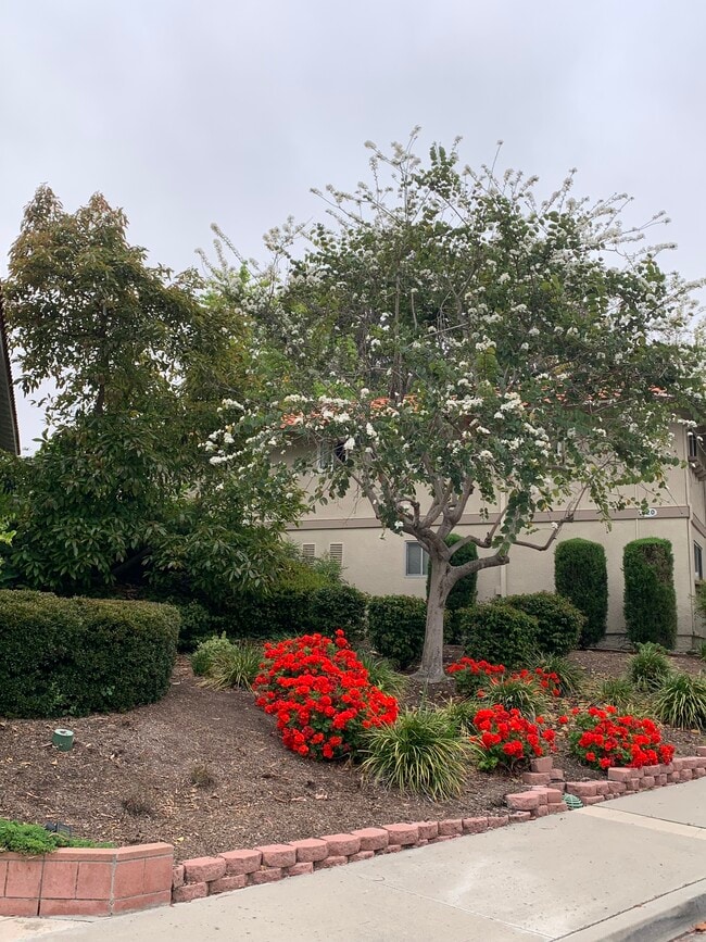 property at 621 Avenida Sevilla