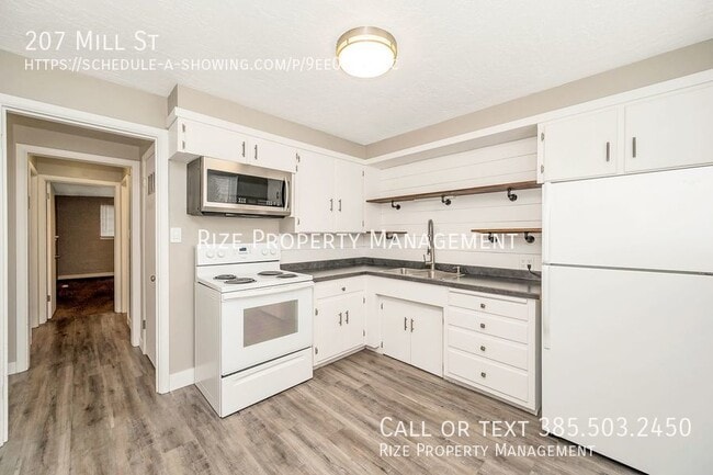 property at 207 Mill St