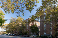 221 McDonald Ave in Brooklyn, NY - Foto de edificio - Building Photo