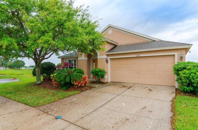 5247 Lookout Pass in Wesley Chapel, FL - Building Photo - Building Photo
