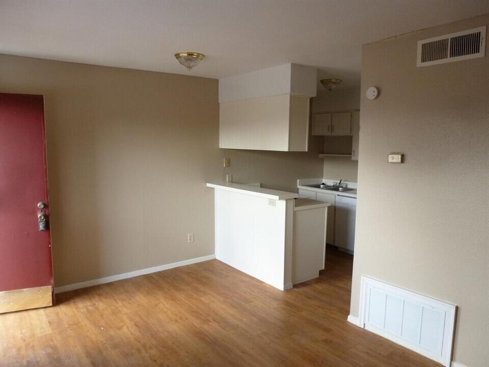 919 E 46th St in Austin, TX - Building Photo