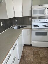 229 S Fairmount St in Pittsburgh, PA - Building Photo - Building Photo