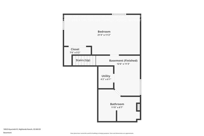 10523 Hyacinth Pl in Highlands Ranch, CO - Building Photo - Building Photo