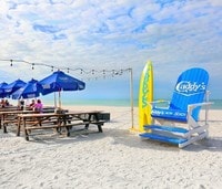 Apartments in Treasure Island, FL