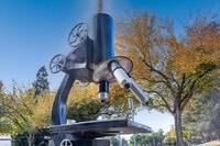 Apartments in Vacaville, CA