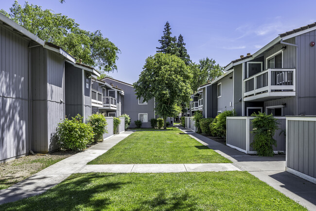 The Grove in Davis, CA - Building Photo - Building Photo