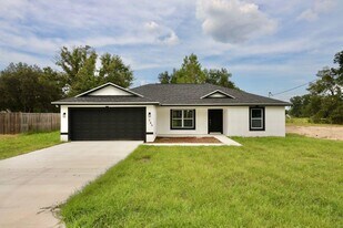 345 Malauka Loop in Ocklawaha, FL - Building Photo