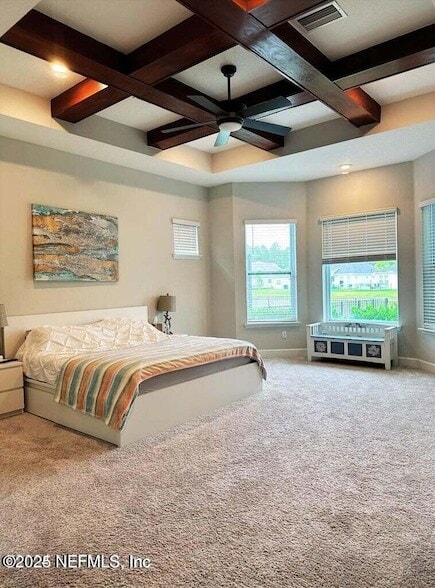 52 Clarendon Rd in Saint Johns, FL - Foto de edificio - Building Photo