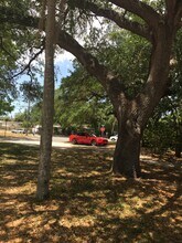 1035 Michigan Dr E in Dunedin, FL - Building Photo - Building Photo