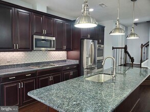 23605 Rose Leigh Terrace in Ashburn, VA - Building Photo - Building Photo