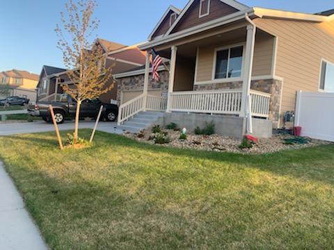 1040 Mount Oxford Ave in Windsor, CO - Building Photo