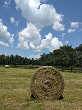 8035 NW 120th St in Reddick, FL - Foto de edificio - Building Photo