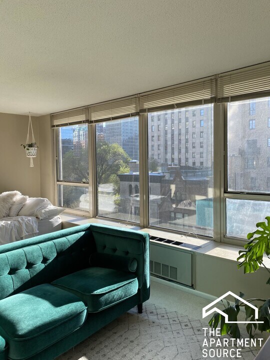 1313 N Ritchie Ct in Chicago, IL - Building Photo