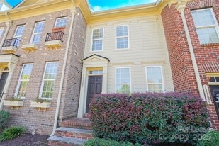 11125 Cedar Walk Lane in Charlotte, NC - Building Photo