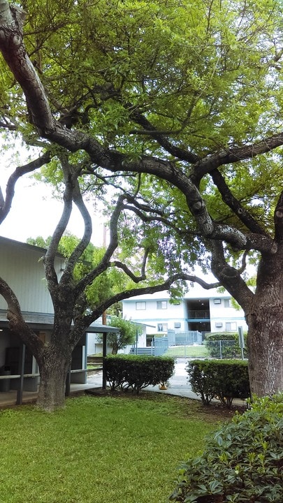 Hidden Meadow Apartments in San Antonio, TX - Building Photo