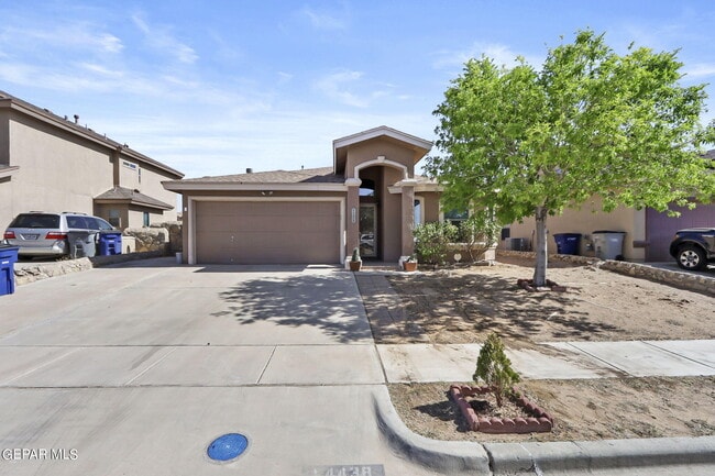 property at 14438 Miguel Terrazas Dr