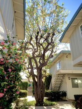 The Pines Apartments in Menlo Park, CA - Building Photo - Building Photo