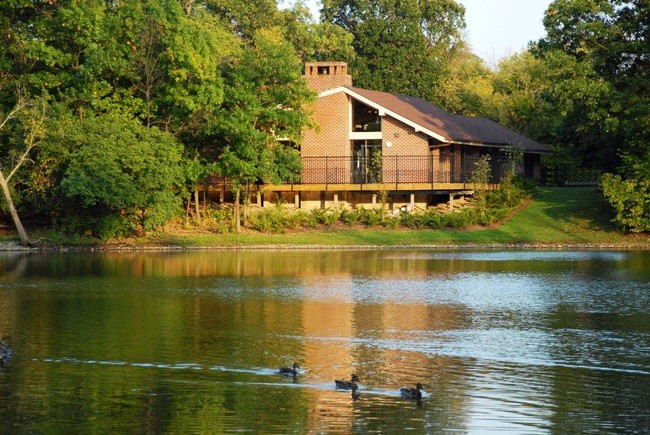 The Treehouse of Schaumburg in Schaumburg, IL - Building Photo - Building Photo