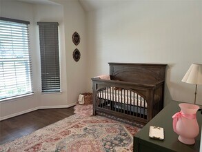 30718 Parkside Passage Dr in Fulshear, TX - Building Photo - Building Photo