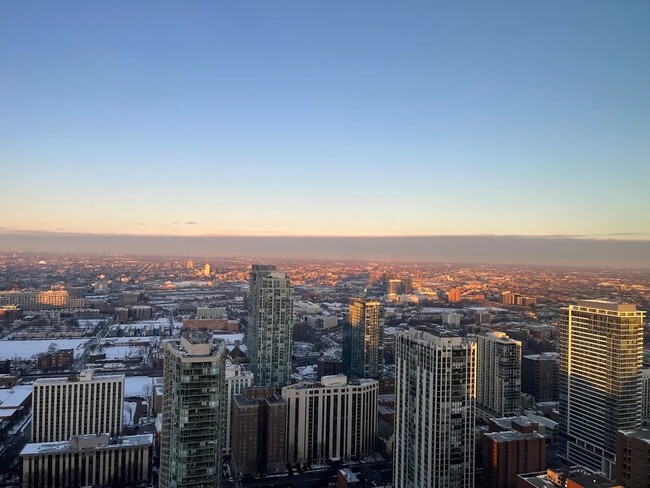1030 N State St in Chicago, IL - Building Photo - Building Photo