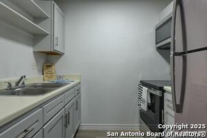 264 Loma Vista St in New Braunfels, TX - Building Photo - Building Photo