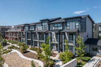 Seton Townhomes in Calgary, AB - Building Photo - Building Photo