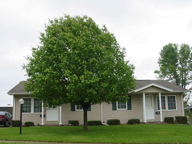 2333 W 40th St, Unit 2333W40 in Davenport, IA - Building Photo