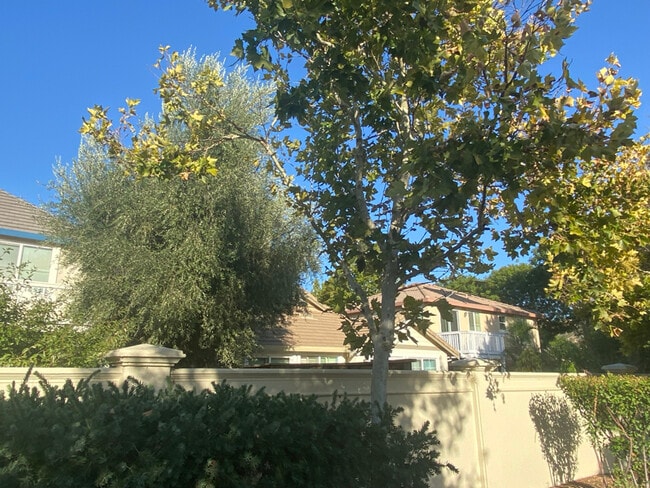 9454 California Oak Cir in Patterson, CA - Building Photo - Building Photo