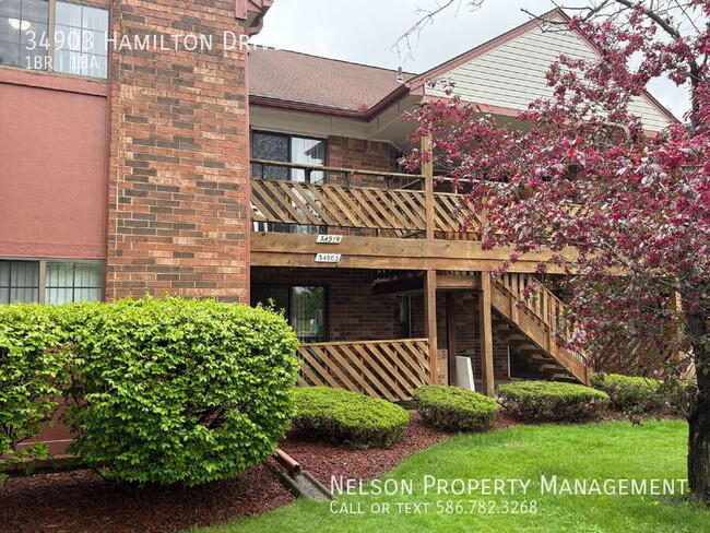 property at 34903 Hamilton Dr