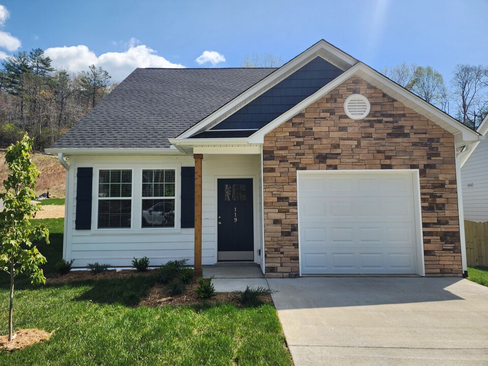 119 Crew Ln in Black Mountain, NC - Building Photo