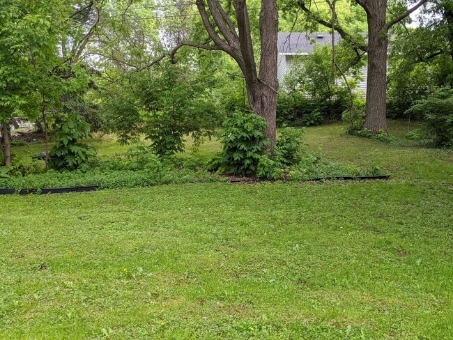 209 W Channing Ave in Fergus Falls, MN - Building Photo - Building Photo