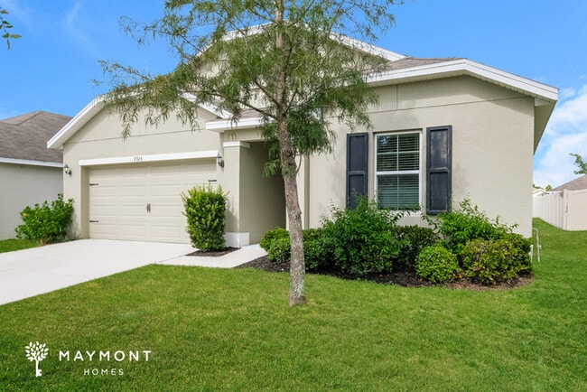 9924 Warm Stone St in Thonotosassa, FL - Building Photo - Building Photo