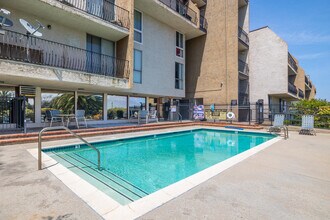 Bayside Terrace 55 Senior Apartments in San Pedro, CA - Building Photo - Building Photo