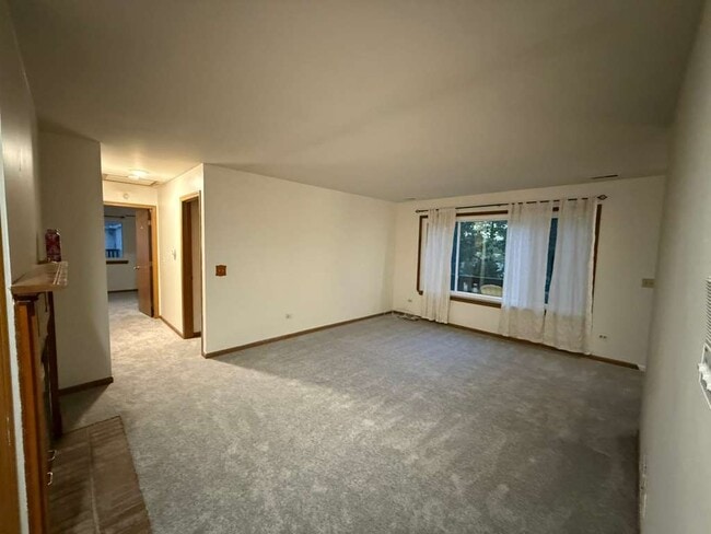 320 Newport Ln in Bartlett, IL - Building Photo - Building Photo
