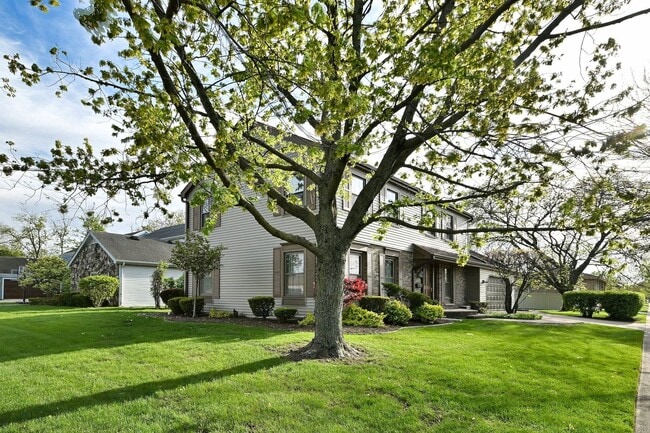 420 E Madison St in Elmhurst, IL - Building Photo - Building Photo
