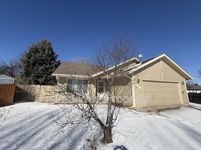 4541 Dinosaur Ct in Greeley, CO - Building Photo - Building Photo