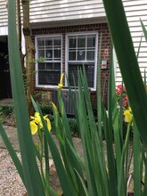 2246 Cedar Way in Baton Rouge, LA - Building Photo - Building Photo