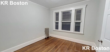 42 Orkney Rd in Boston, MA - Building Photo - Building Photo