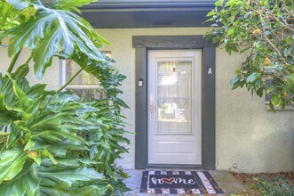 2926 Lichen Ln in Clearwater, FL - Building Photo - Building Photo