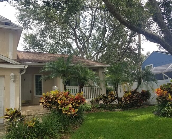 2908 Shannon Cir in Palm Harbor, FL - Foto de edificio - Building Photo