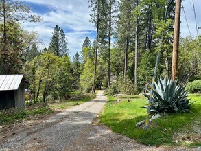 12134 Crystal Springs Rd in Grass Valley, CA - Building Photo - Building Photo