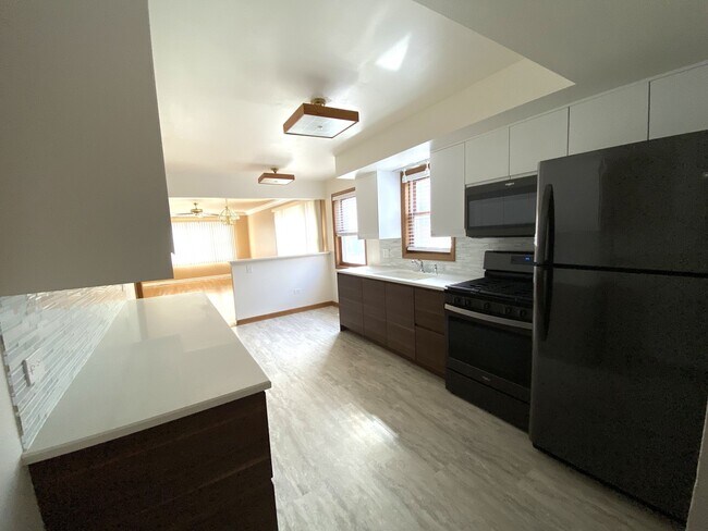 1248 W Race Ave in Chicago, IL - Building Photo - Building Photo