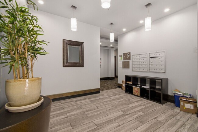 809 6th St NW in Washington, DC - Building Photo - Building Photo