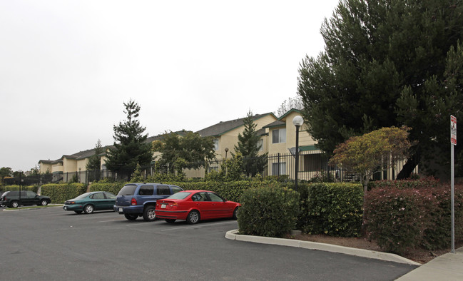 Stonecreek Apartments in Watsonville, CA - Building Photo - Building Photo