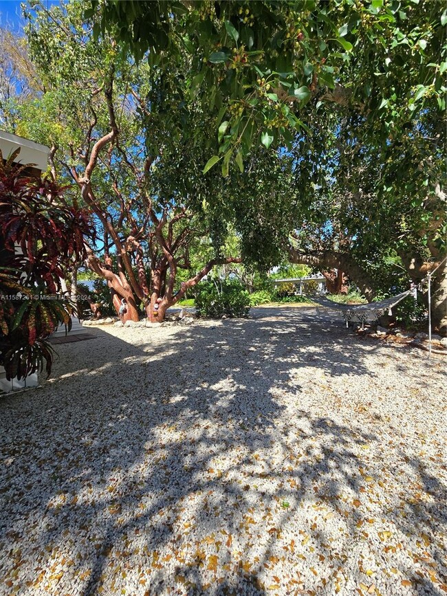 101 Gumbo Limbo Rd in Islamorada, FL - Foto de edificio - Building Photo